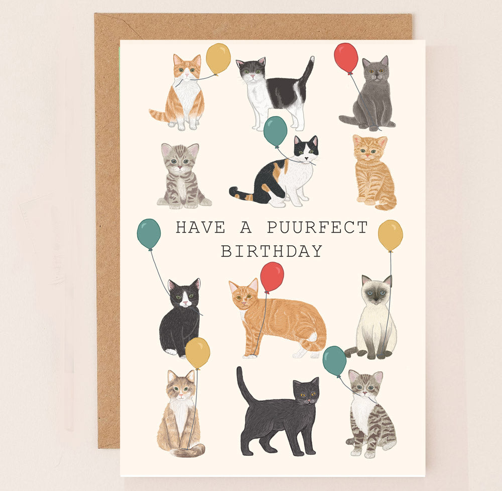 MN006-Apple & Clover-Purrfect Cats Birthday Card-Card-Graphic Collection