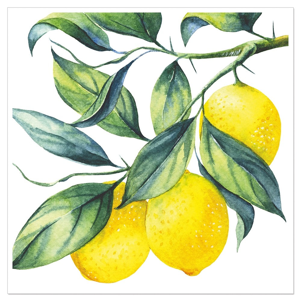 133366-Artebene-Lemon Branch-Napkin-