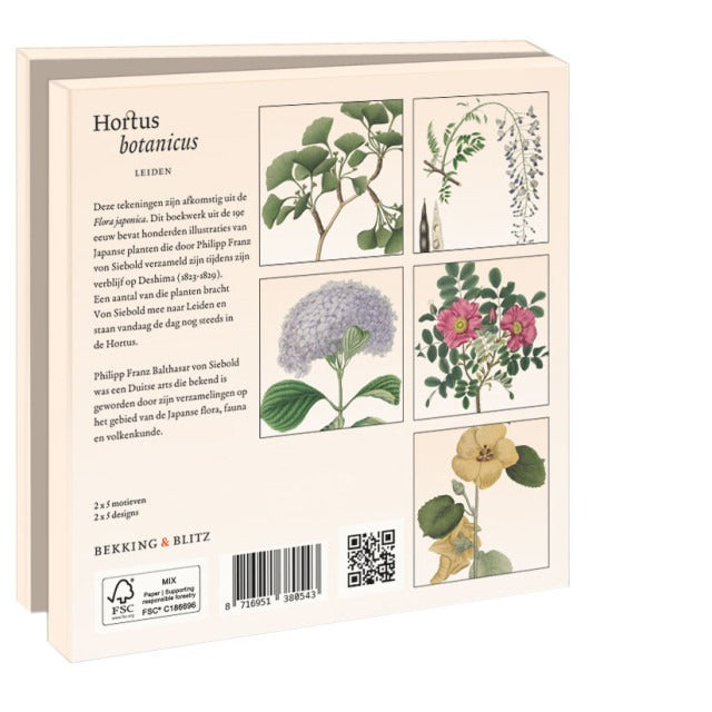 WMC1309-Bekking & Blitz-Siebold Hortus Leiden-Notewallet-Card Folders