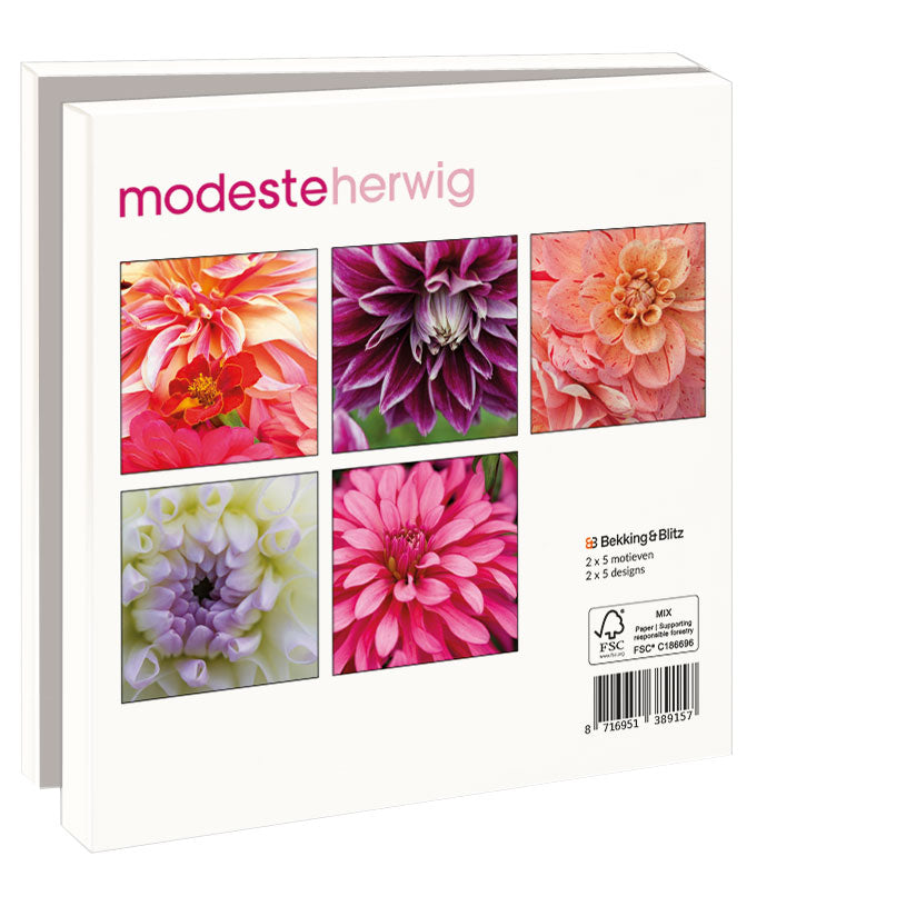 WMC1381-Bekking & Blitz-10 X Card Folder With Envelopes 5 Designs Square:Dahlias Modeste Herwig-Notewallet-