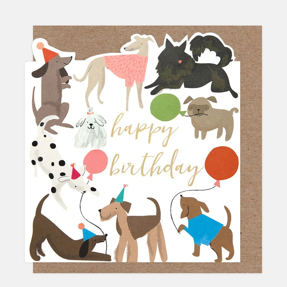 AST002-Caroline G-Dogs With Balloons Birthday-Card-Assortment