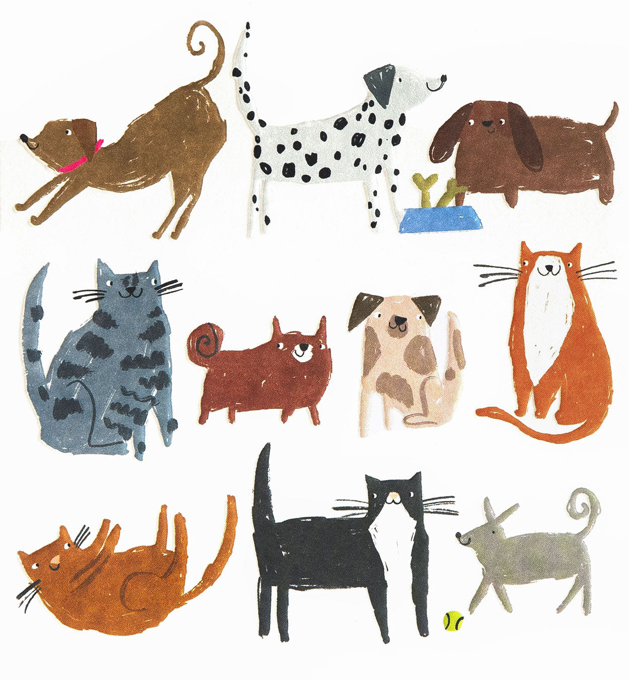 BLA010-Caroline G-Blank Mixed Cats And Dogs-Card-