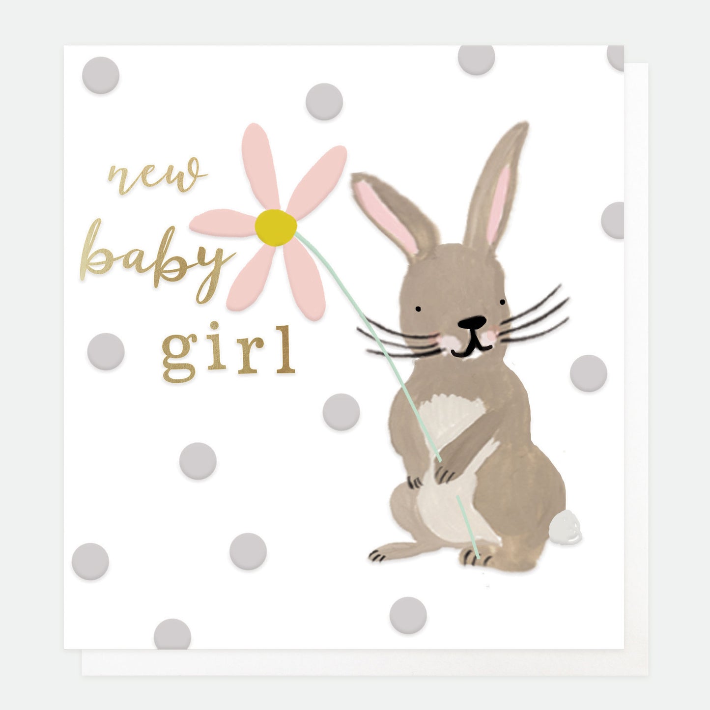PAI038-Caroline G-Baby Girl Rabbit New Baby-Card-Paintbrush