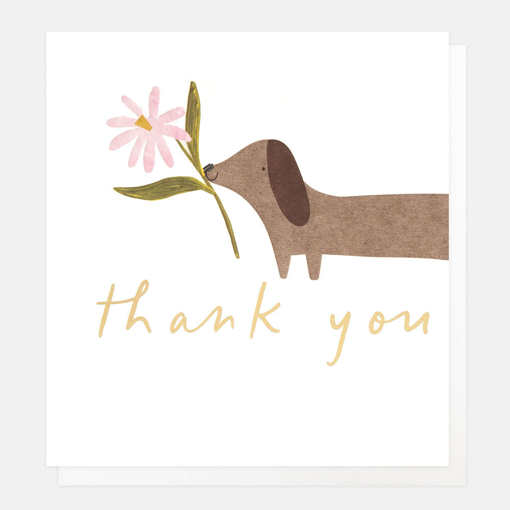 RAN021-Caroline G-Thank You Sausage Dog With Flower-Card-Random