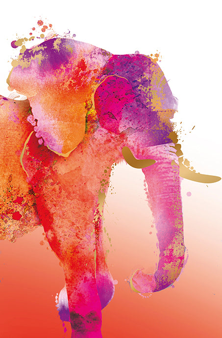 9956560084-Editions du Desastre-Carnet De Couleurs-Card-Carnet De Couleurs