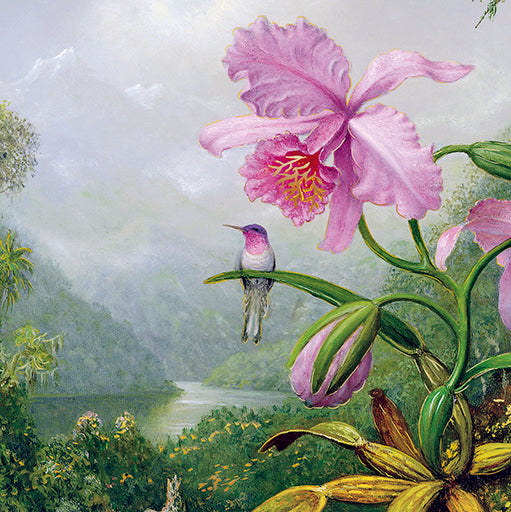 9981970094-Editions du Desastre-Le Muse-Card-Le Muse