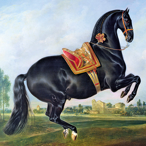 9981970137-Editions du Desastre-Le Muse-Card-Le Muse