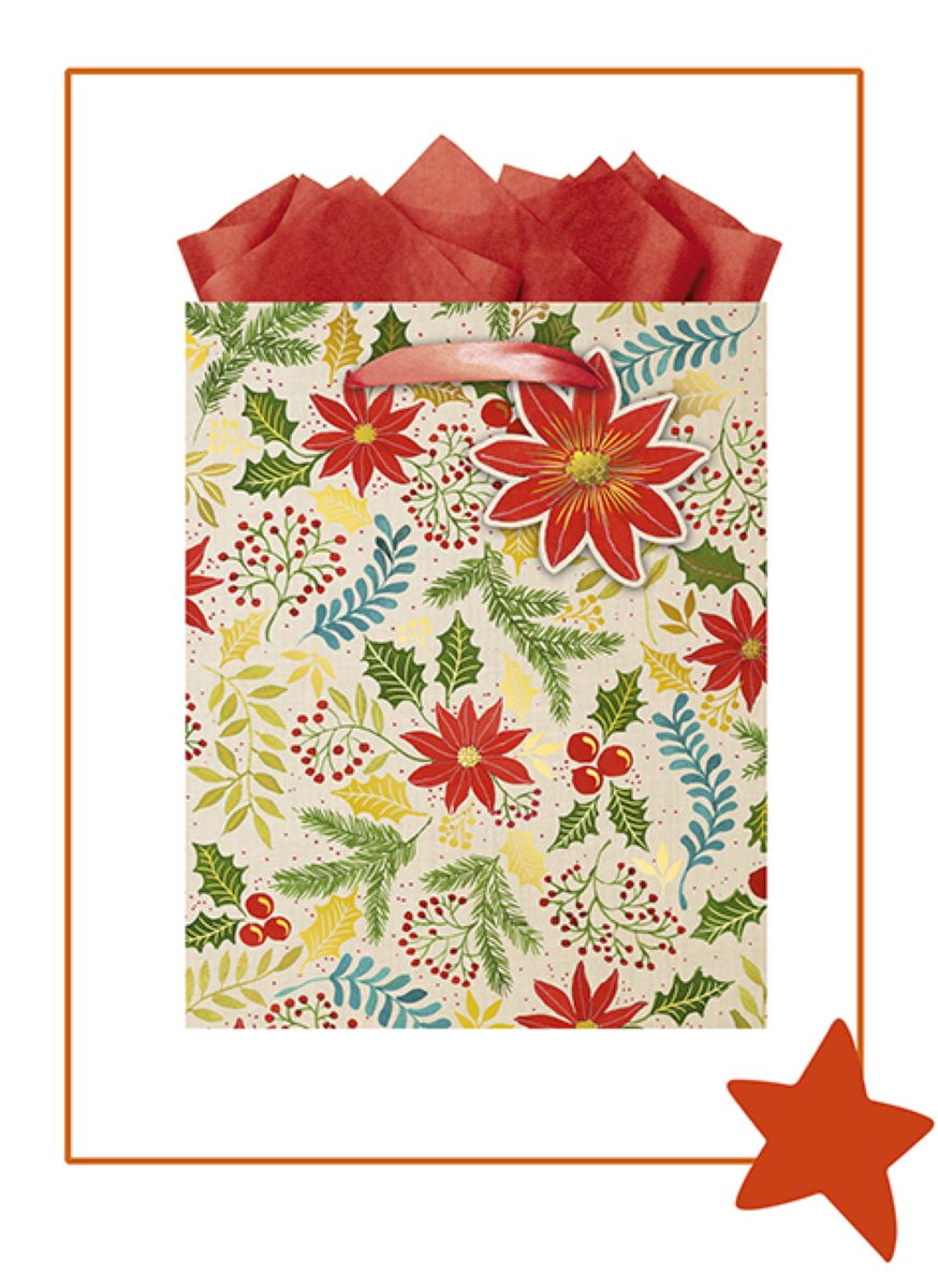 9613870053-The Editor Groupe-Mistela-Medium Bag 200Mm X 250Mm-Xmas Gift Bag-