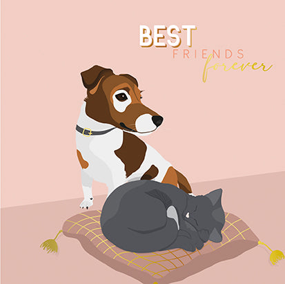 9918460030-The Editor Groupe-Card-