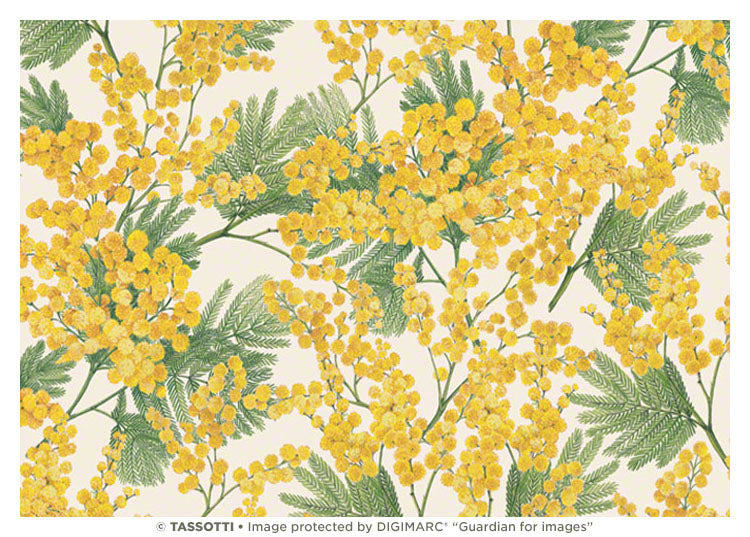 0183-Grafiche Tassotti-Mimose -Wrap-Carta Decorativa