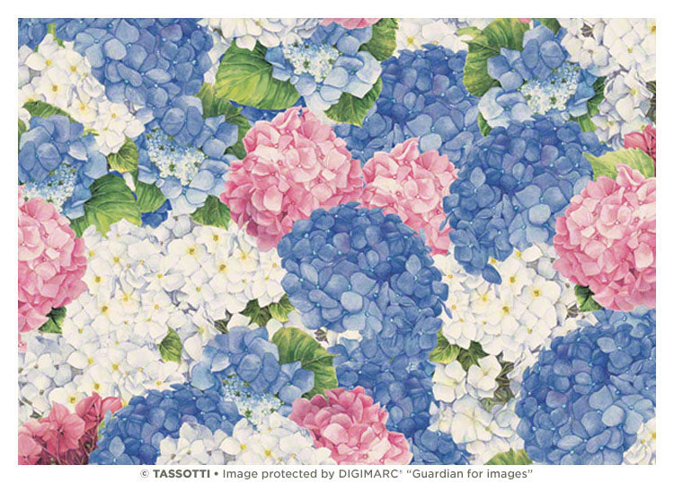 0221-Grafiche Tassotti-Ortensie Rosa-Blu -Wrap-Carta Decorativa
