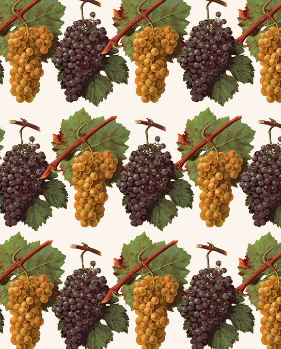 1694-Grafiche Tassotti-Uva-Wrap-Carte Decorative