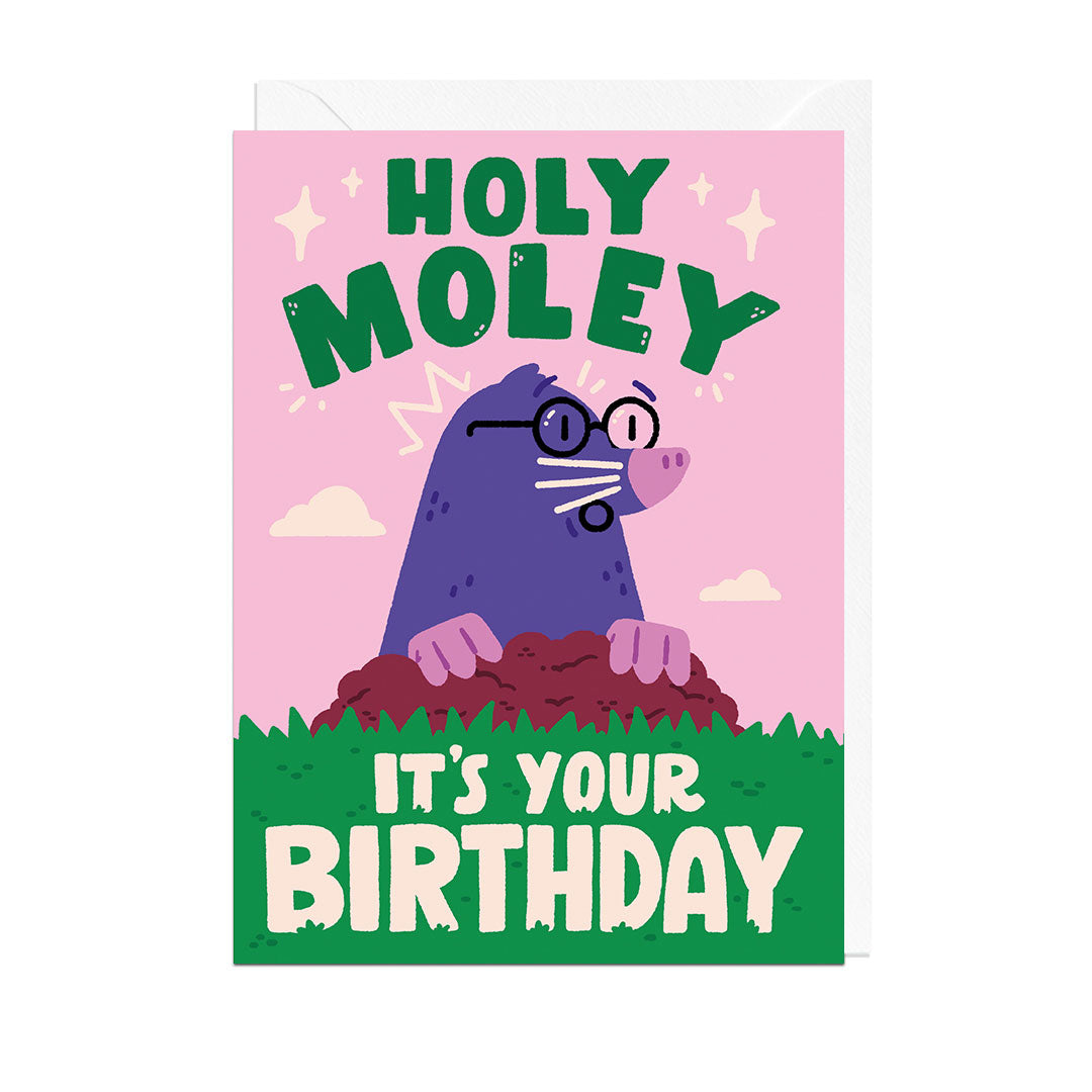 MJ403-Jolly Awesome-Holy Moley Birthday-Card-Illustrators