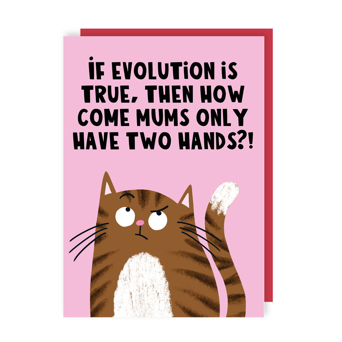 S2025-Lucy Maggie-Evolution-Card-