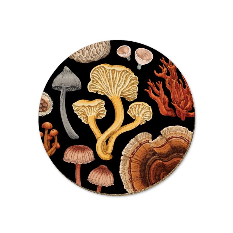 NZTWC101-Live Wires-NZ Fungi Bolete-10cm-Coasters