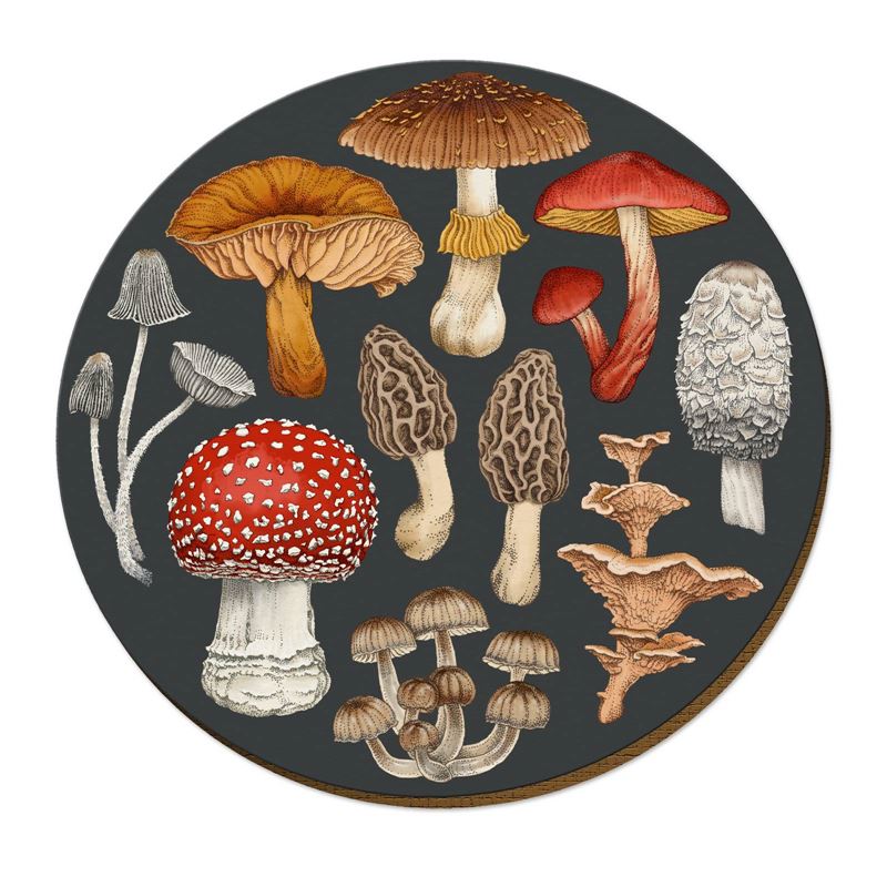 NZTWPM057-Live Wires-Fungi Morchella-29cm-Placemat