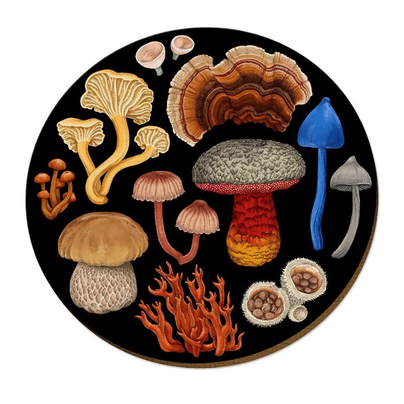 NZTWPM058-Live Wires-Fungi Bolete-29cm-Placemat