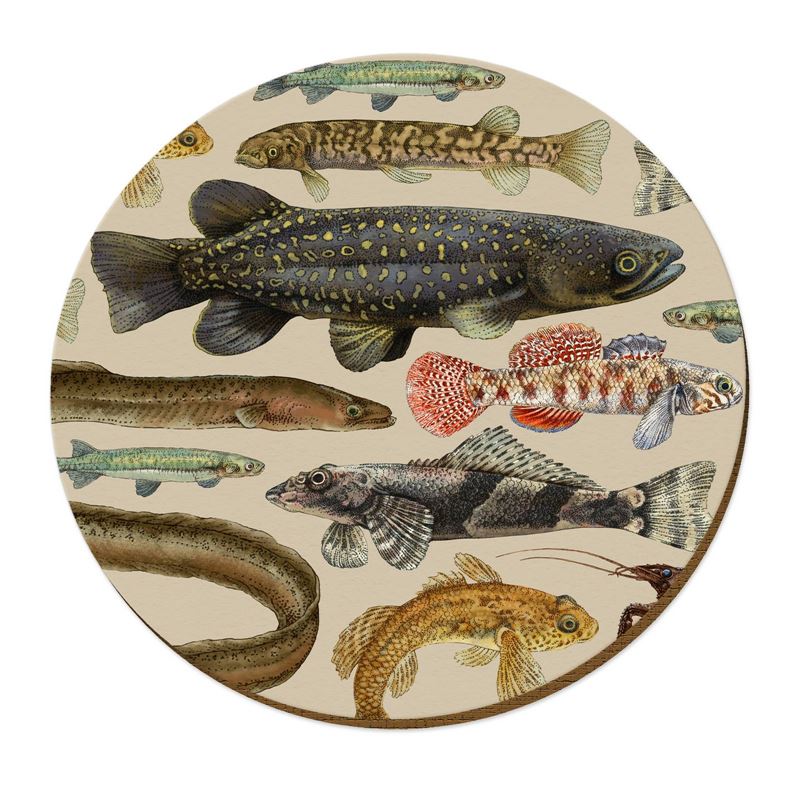 NZTWPM059-Live Wires-NZ Freshwater Fish-29cm-Placemat