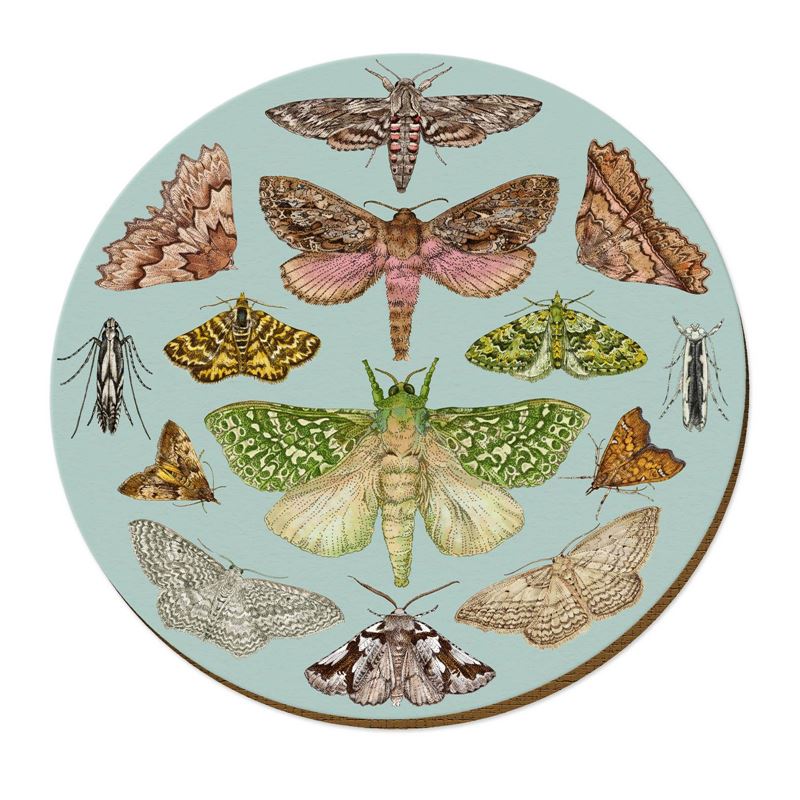 NZTWPM060-Live Wires-NZ Moths-29cm-Placemat