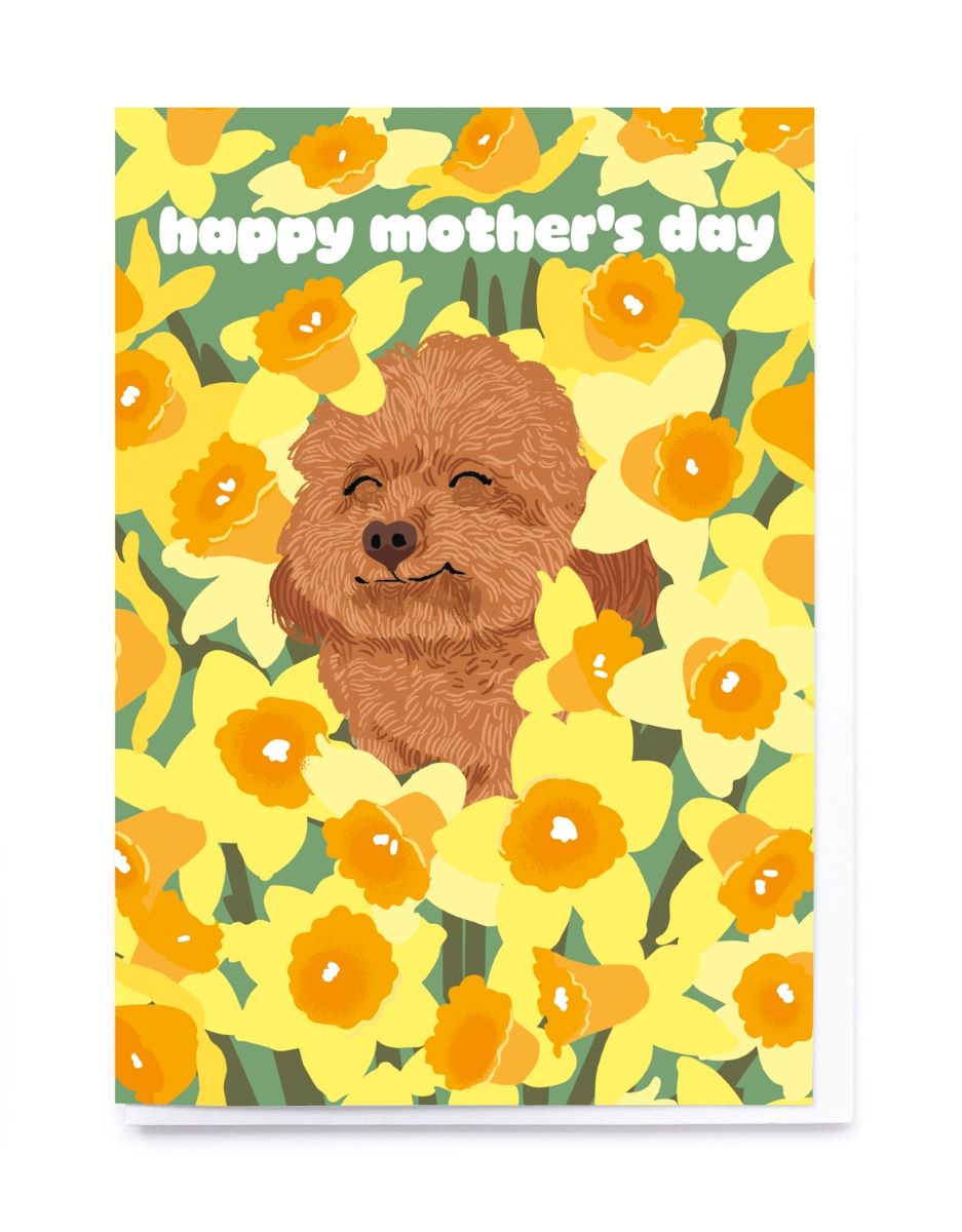 NL313-Noi-Poodle And Daffodils-Card-