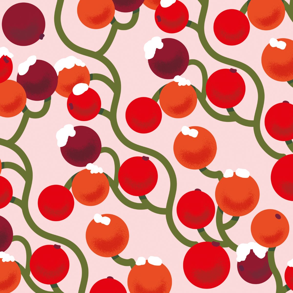 NW104-Noi-Xmas Wrap-Flat Sheets
