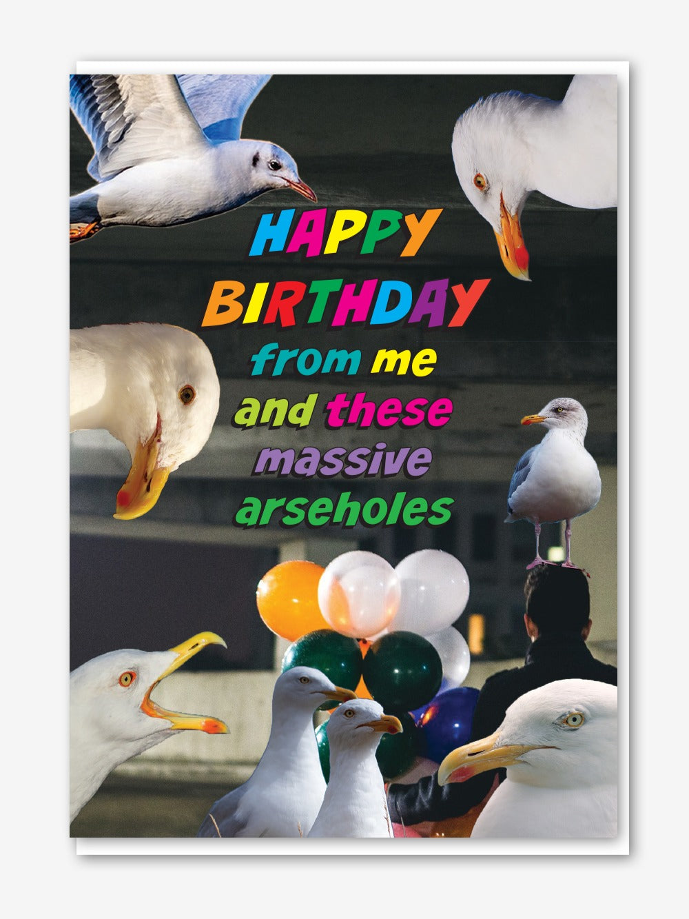 PS003-Objectables-Seagull Arseholes-Card-Photoshits