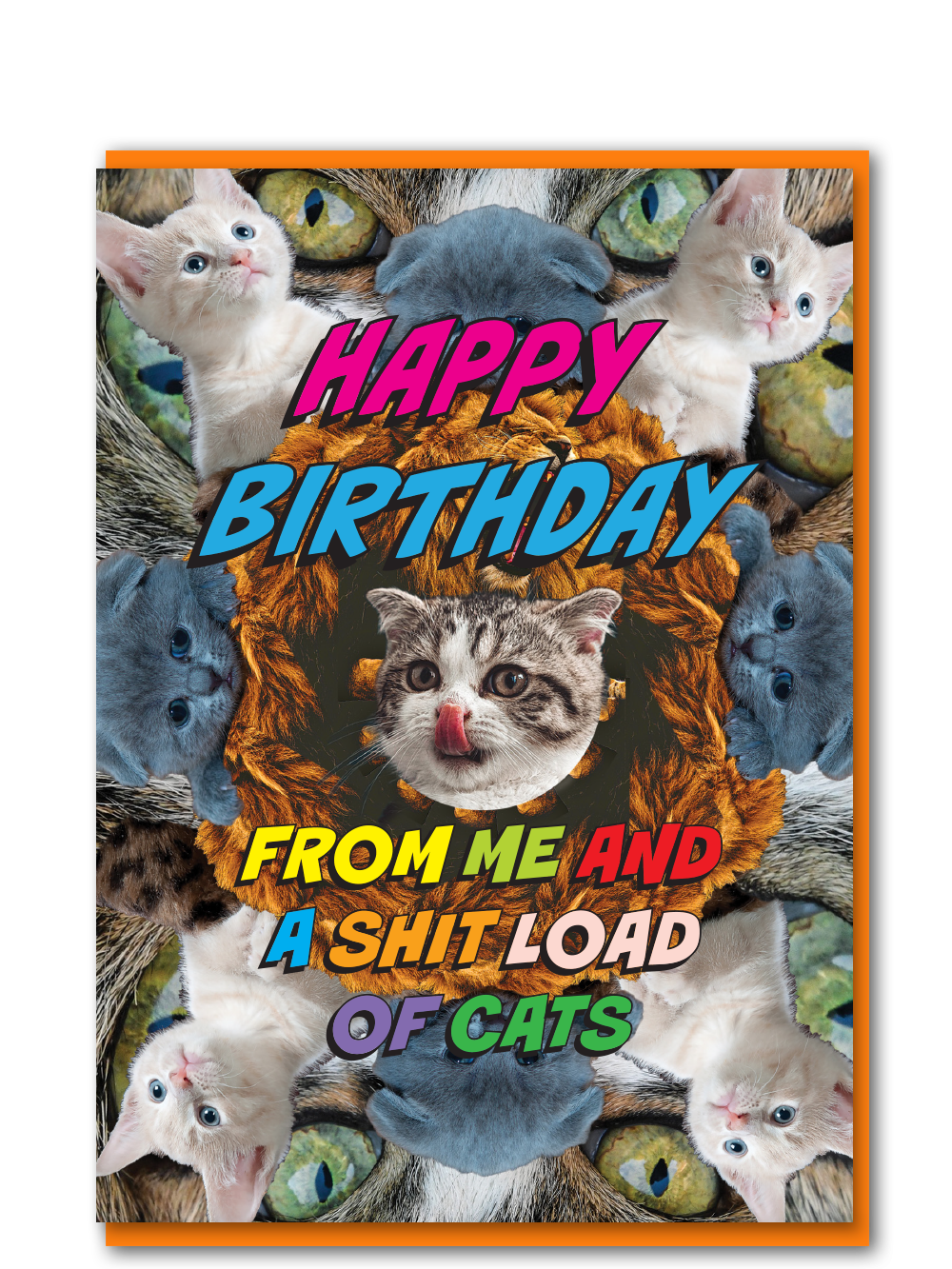 PS004-Objectables-Shitload Of Cats-Card-Photoshits