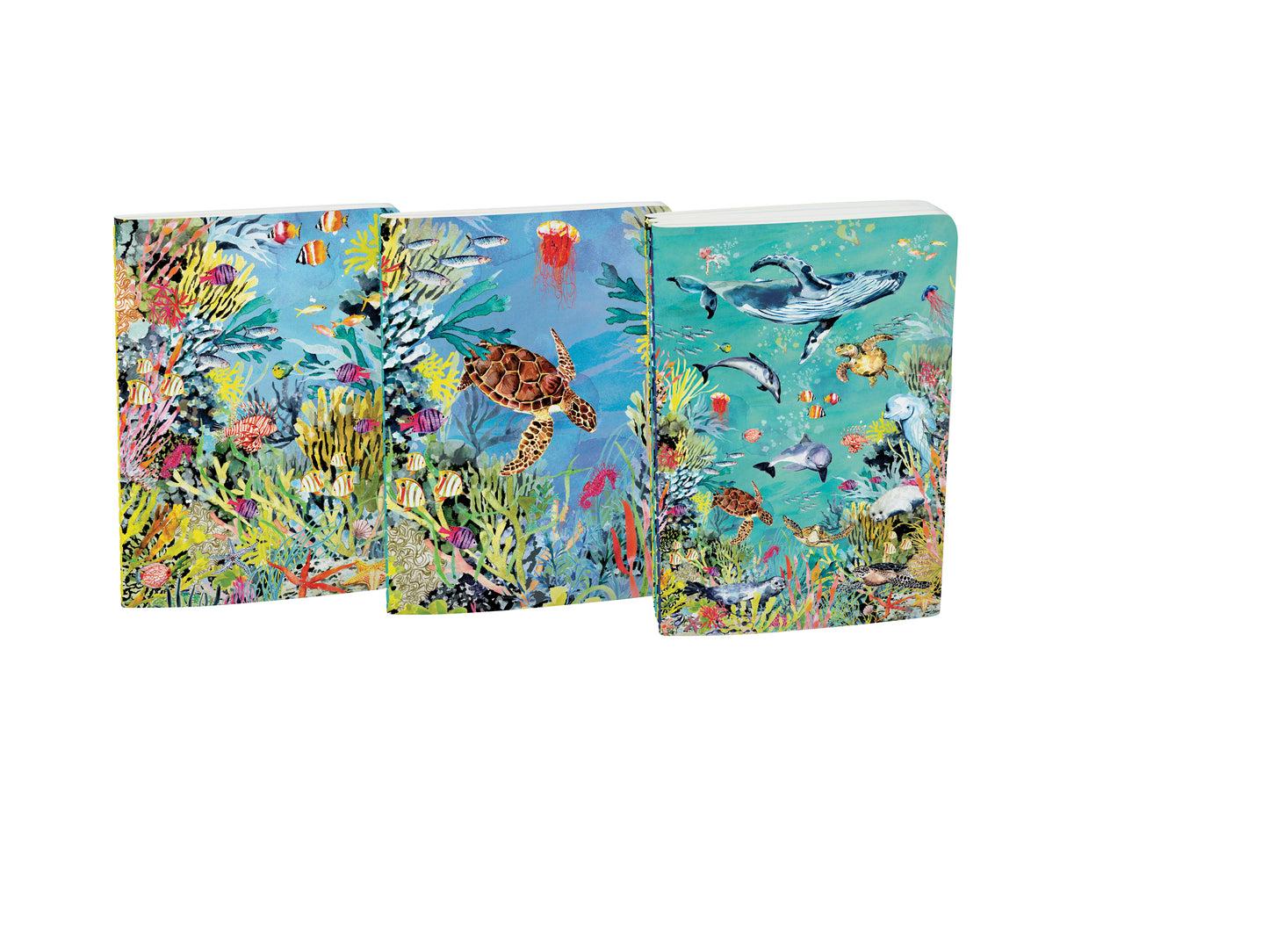 A6E088S-Roger La B-Oceania A6 Softback Notebook Set-Notebook-Oceania