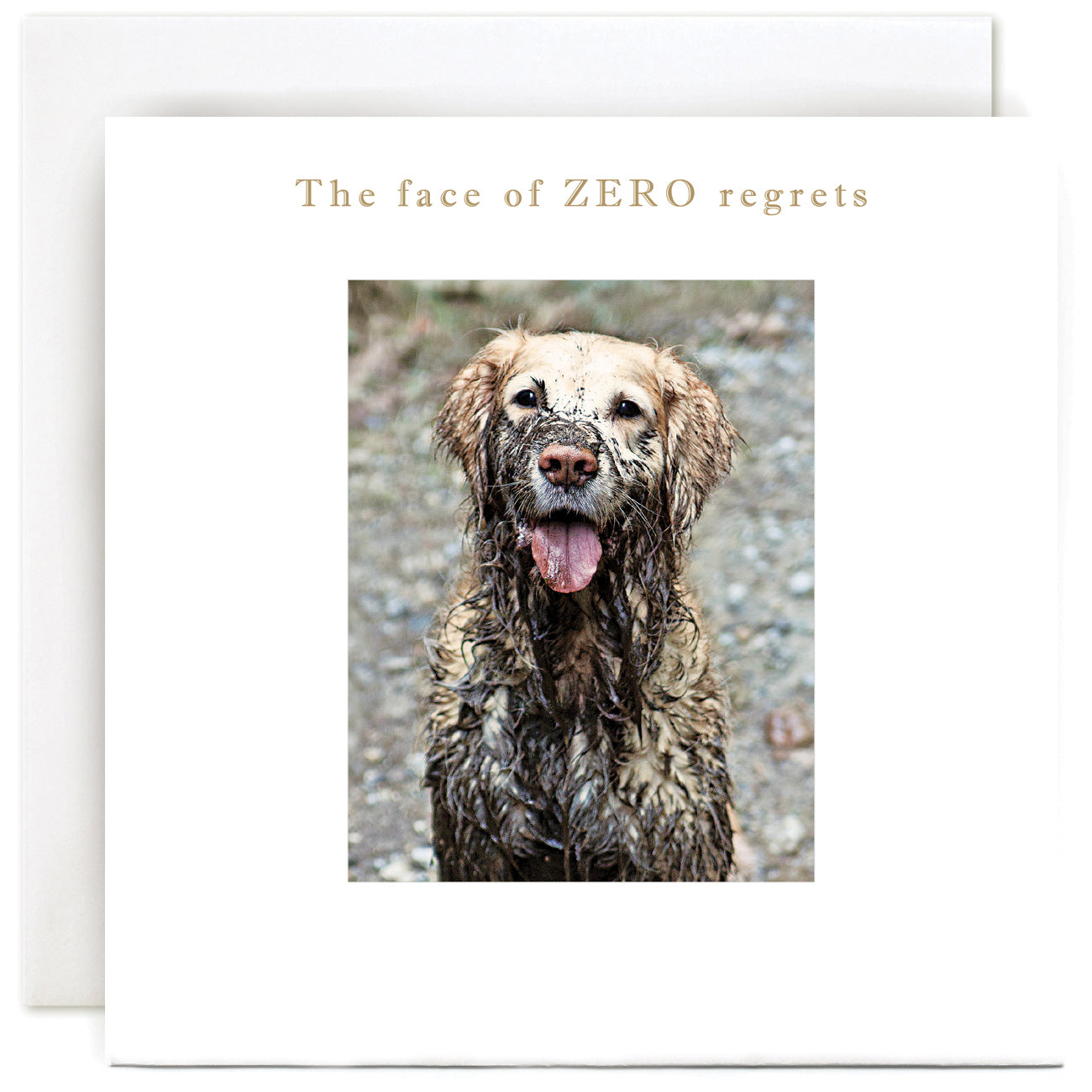 B230-Susan O'Hanlon-The Face O