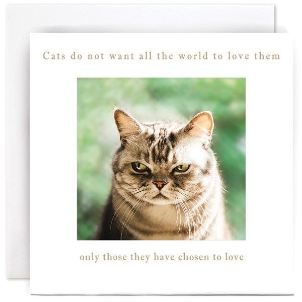 B239-Susan O'Hanlon-Grumpy Cat-Card-