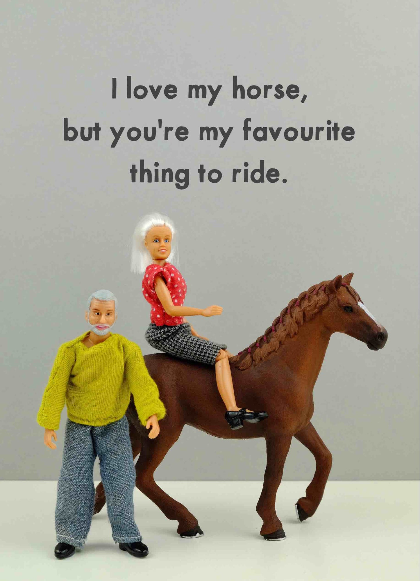 JJR036-Bold & Bright-Favourite