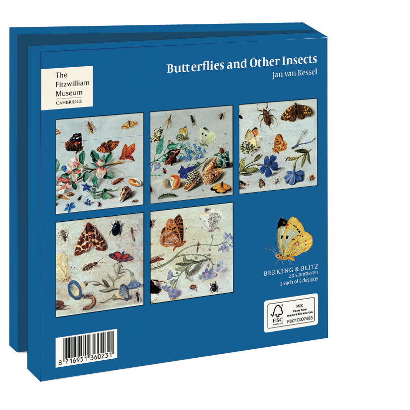WMC1170-Bekking & Blitz-Butterflies And Other Insects - The Fitzwilliam Museum-10 Notecards With Envelopes Various Designs-Notewallet-