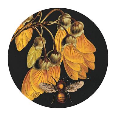 NZTWCM003-Live Wires-Kowhai & Bee-8cm-Mirror