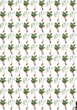 HC002-Laura Stoddart-Holly & Mistletoe-Xmas Wrap-Happy Christmas