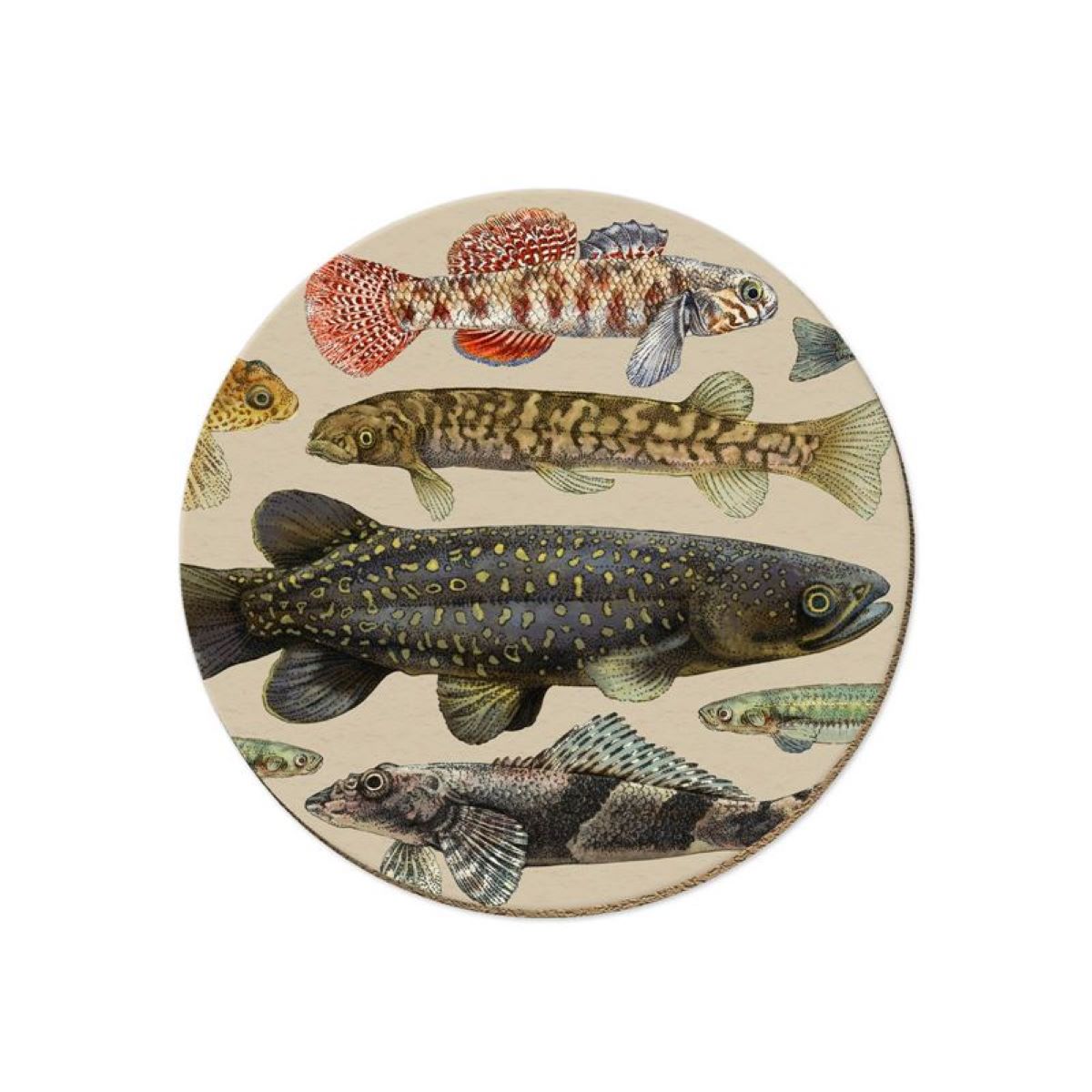 NZTWC102-Live Wires-NZ Freshwater Fish-10cm-Coasters