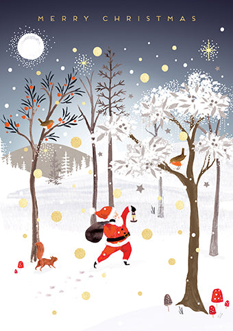 XLF07K-Meraki-Santa-Xmas Card-Let It Snow