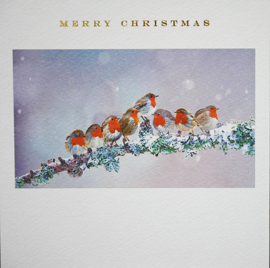 CHR1410 Susan O'Hanlon Xmas Card Classic