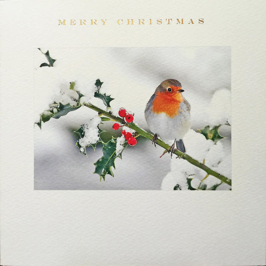 CHR1508 Susan O'Hanlon Xmas Card Classic