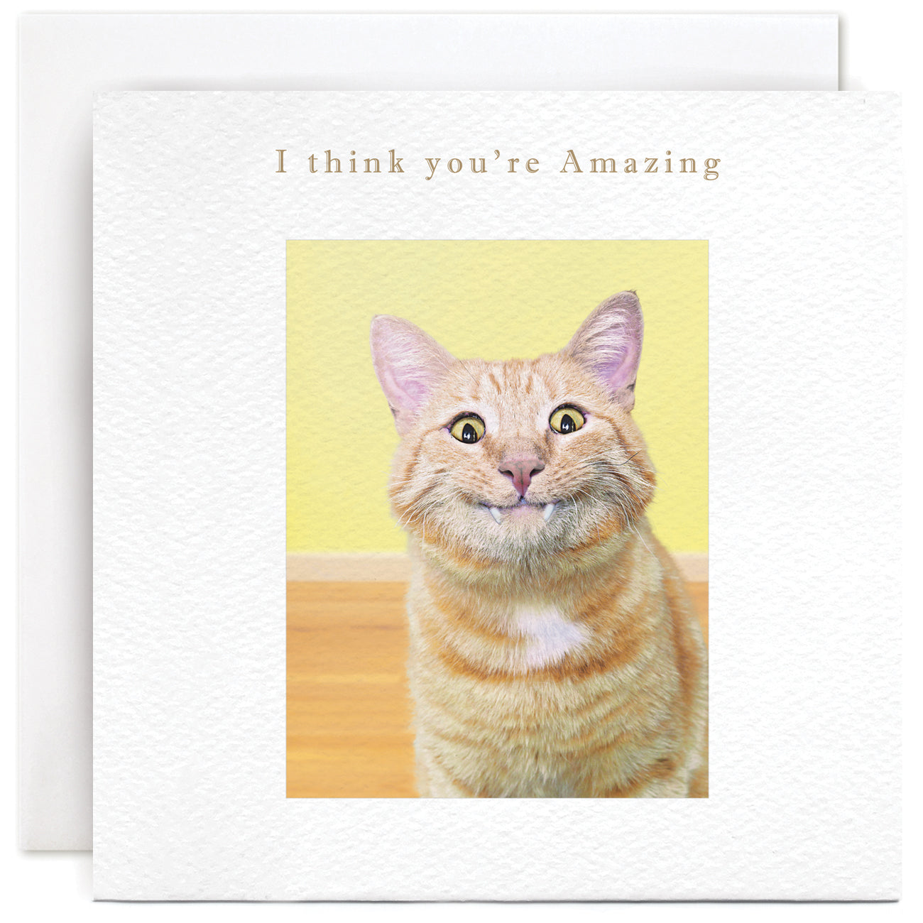 B210 Susan O'Hanlon Card