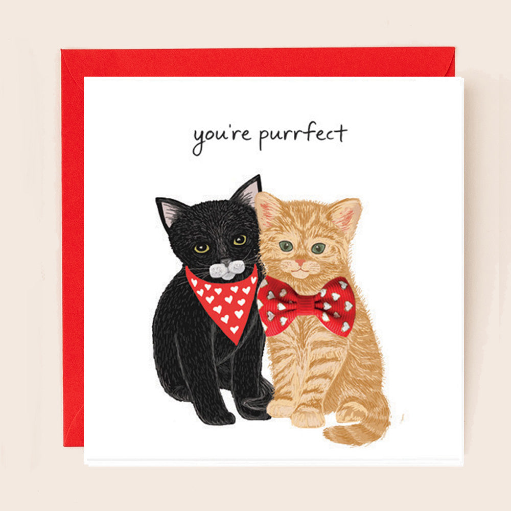 BW028-Apple & Clover-You'Re Purrfect Cats-Card-Bow Collection