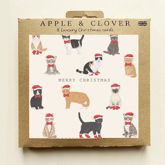 CP018-Apple & Clover-Cats Square-Xmas Card Pack-8 Pk Christmas Boxed Cards