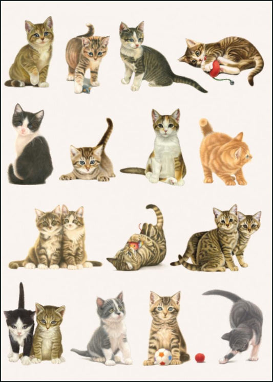 GC0935-Bekking & Blitz-Franciens Katten Francien Van Westering-Card-Gallery