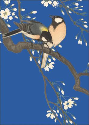 MC3125-Bekking & Blitz-Tits On Cherry Branch Ohara Koson Collection Rijksmuseum Amsterdam-Card-Museum