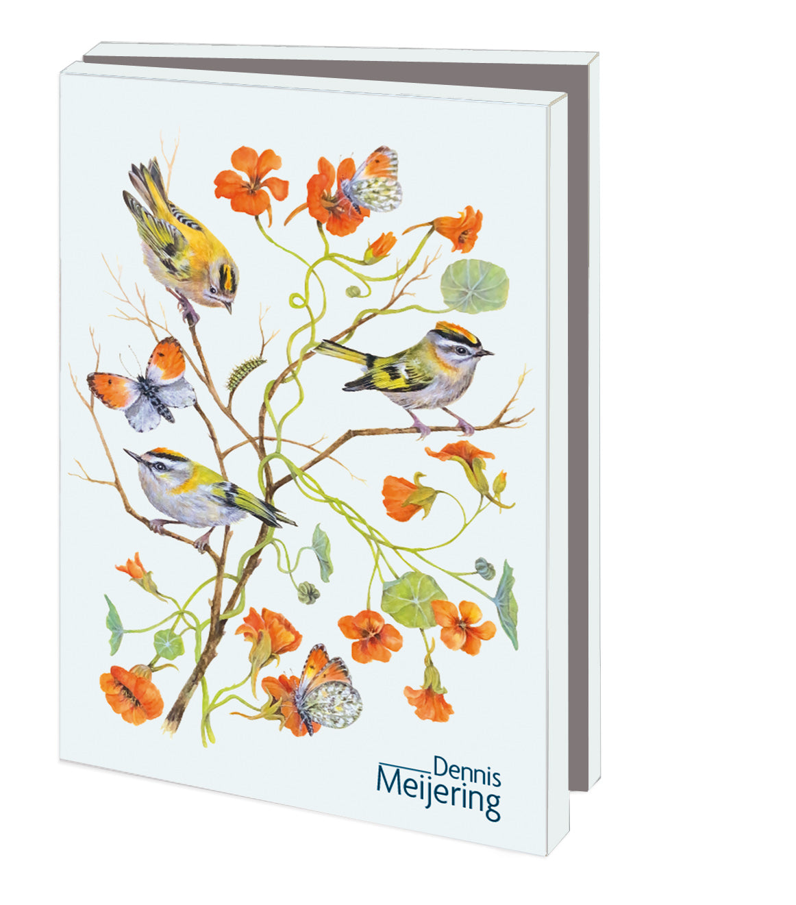 MCW320-Bekking & Blitz-10 X Card Folder With Envelopes 2 Designs Small: Birds & Flowers Dennis Meijering-Notewallet-
