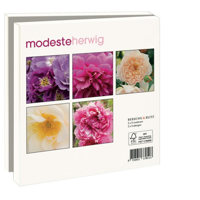 WMC1251-Bekking & Blitz-Roses  Modeste Herwig-Notewallet-Card Folders