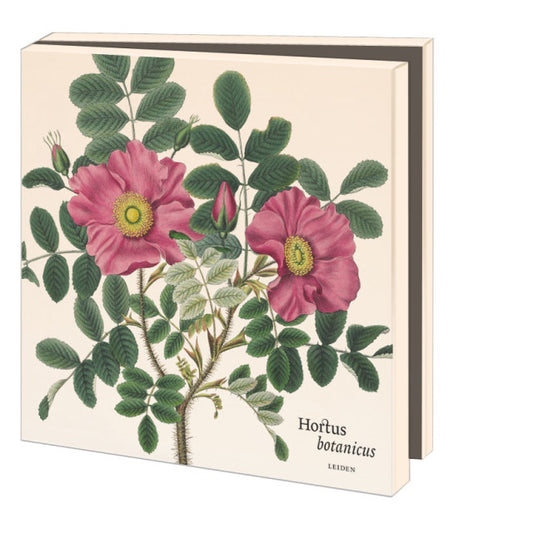 WMC1309-Bekking & Blitz-Siebold  Hortus Leiden-Notewallet-Card Folders
