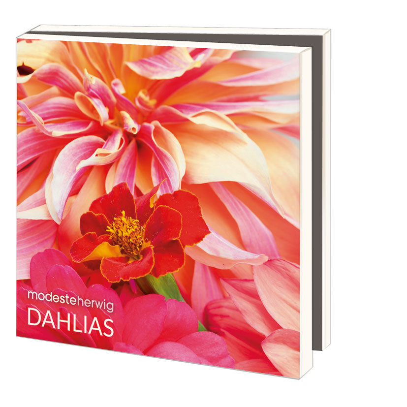 WMC1381-Bekking & Blitz-10 X Card Folder With Envelopes 5 Designs Square:Dahlias Modeste Herwig-Notewallet-