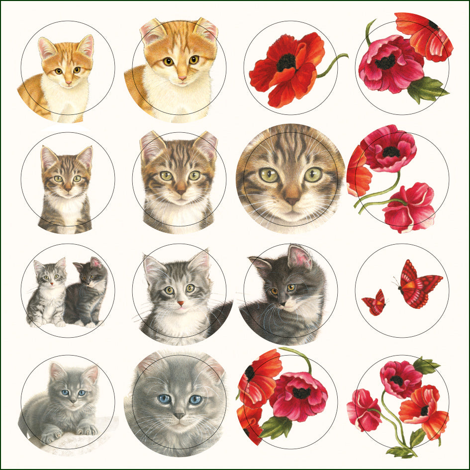 WMCS003-Bekking & Blitz-8 X Card Folder With Envelopes 4 X Designs 128 Stickers & Envelopes Square: Kittens & Poppies-Notewallet-