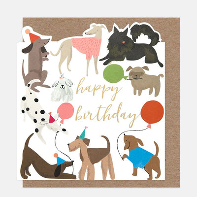AST002-Caroline G-Dogs With Balloons Birthday-Card-Assortment