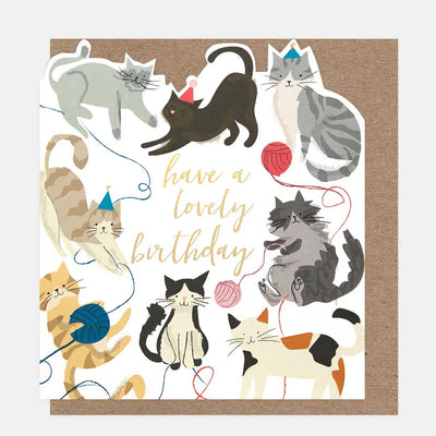 AST003-Caroline G-Cats With Wool Have A Lovely Birthday-Card-Assortment